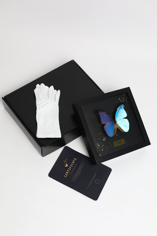 Art Butterfly - Blue image 2