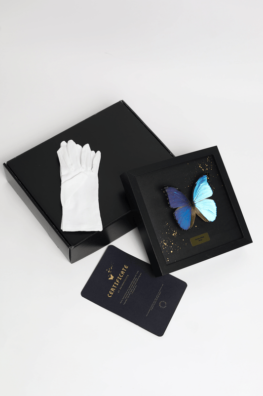 Art Butterfly - Blue image 2