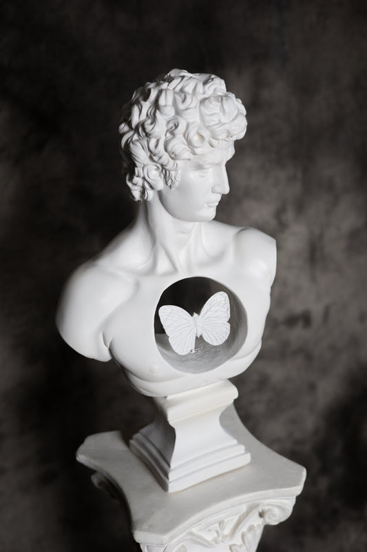 Davids harteloze elegantie