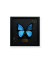 ART BUTTERFLY - BLUE