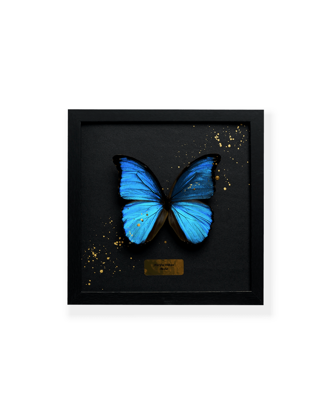 ART BUTTERFLY - BLUE