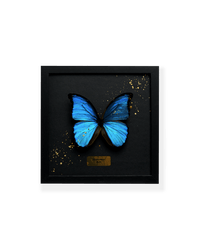 ART BUTTERFLY - BLUE