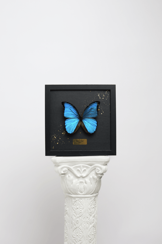 Art Butterfly - Blue image 3