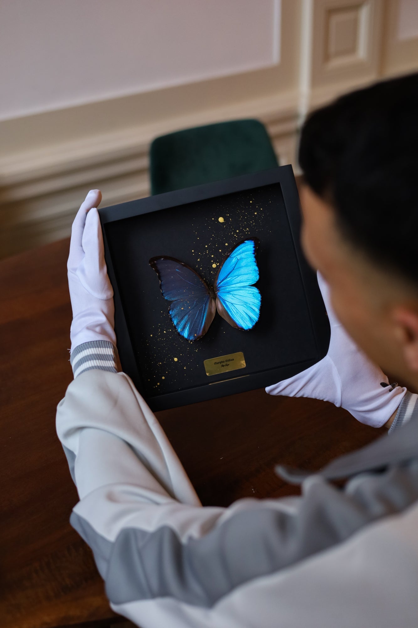 ART BUTTERFLY - BLUE