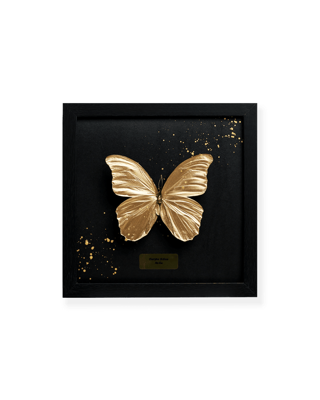 ART BUTTERFLY - GOLD