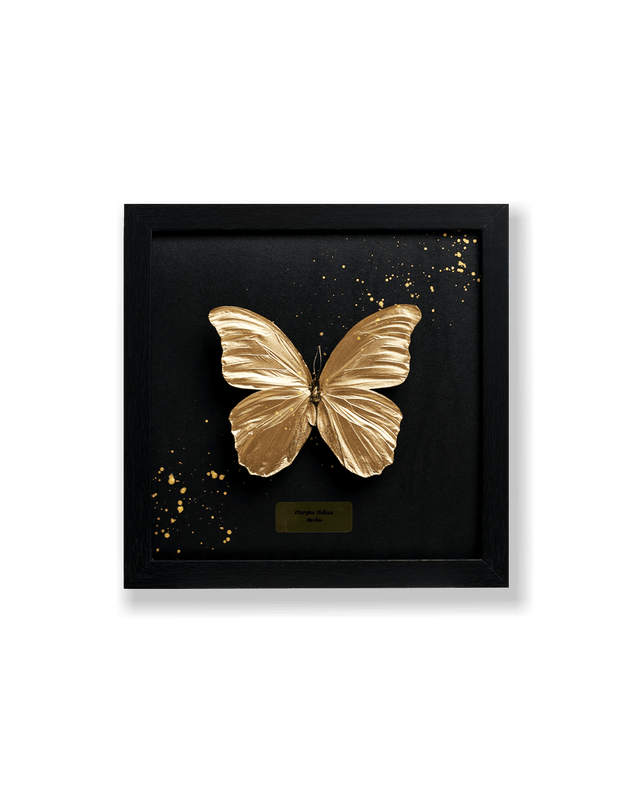 Art Butterfly - Gold