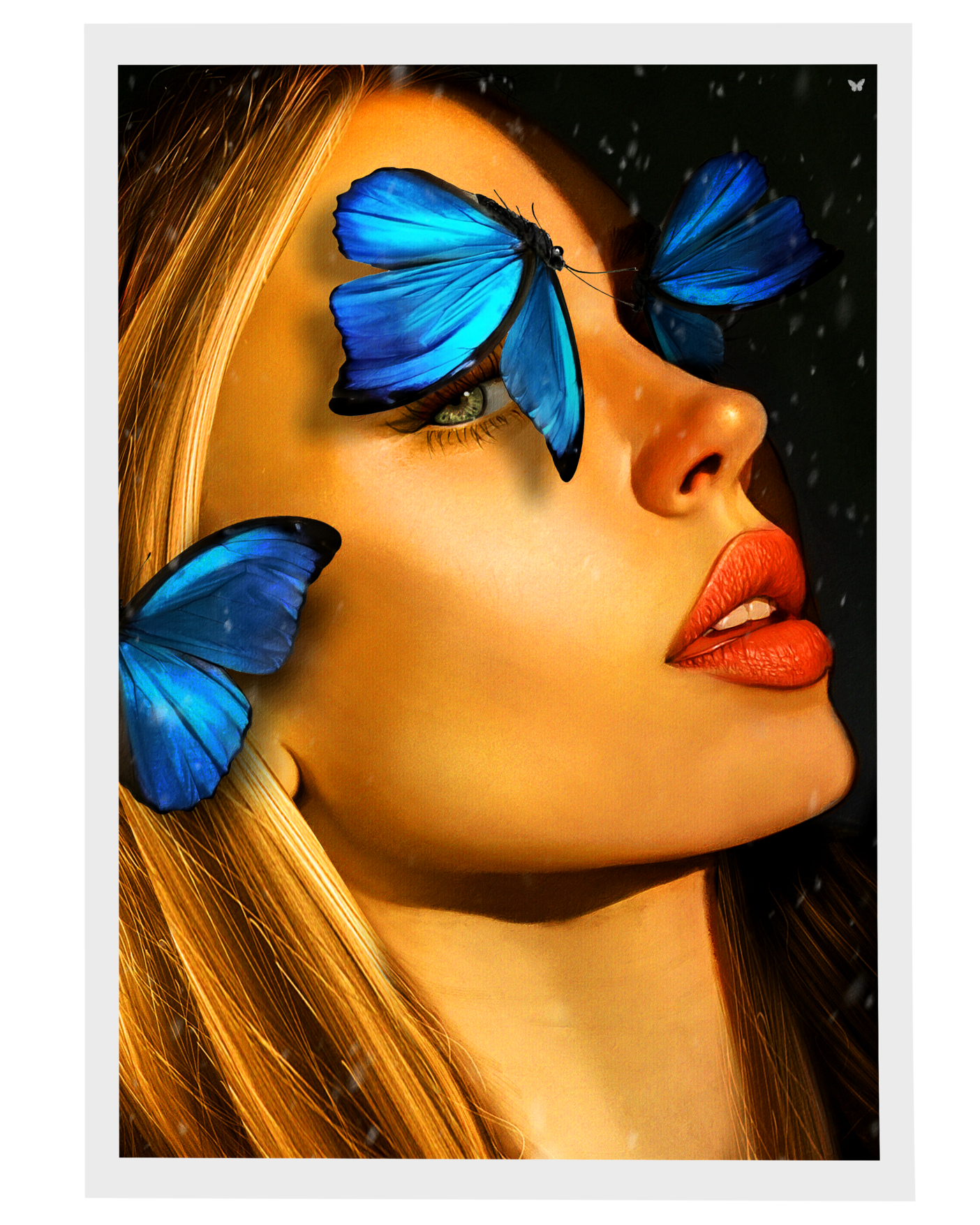 morpho1_a15686dd-a564-4388-80ed-2f43d1f0a3f4.png