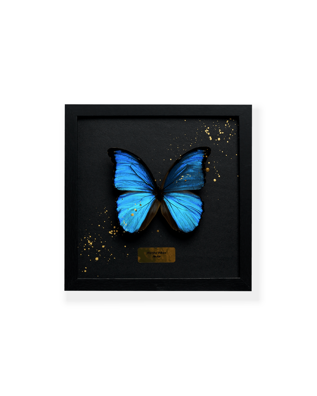 ART BUTTERFLY - BLUE