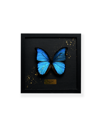 ART BUTTERFLY - BLUE