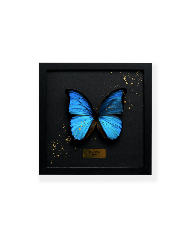 ART BUTTERFLY - BLUE