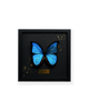 ART BUTTERFLY - BLUE