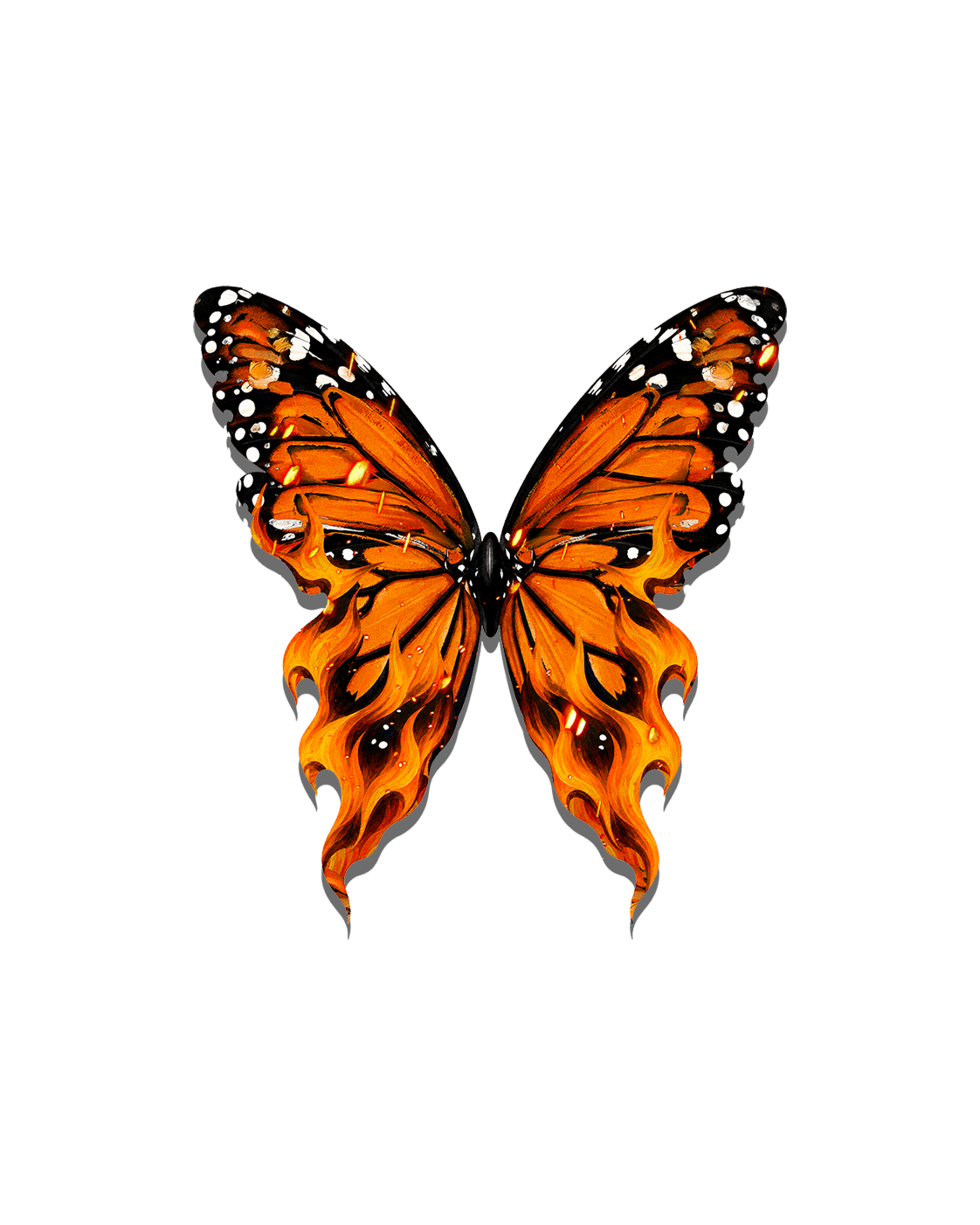 THE FIRE WITHIN - COLLECTIBLE