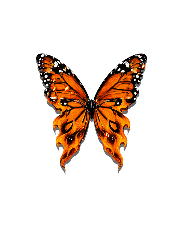 THE FIRE WITHIN - COLLECTIBLE