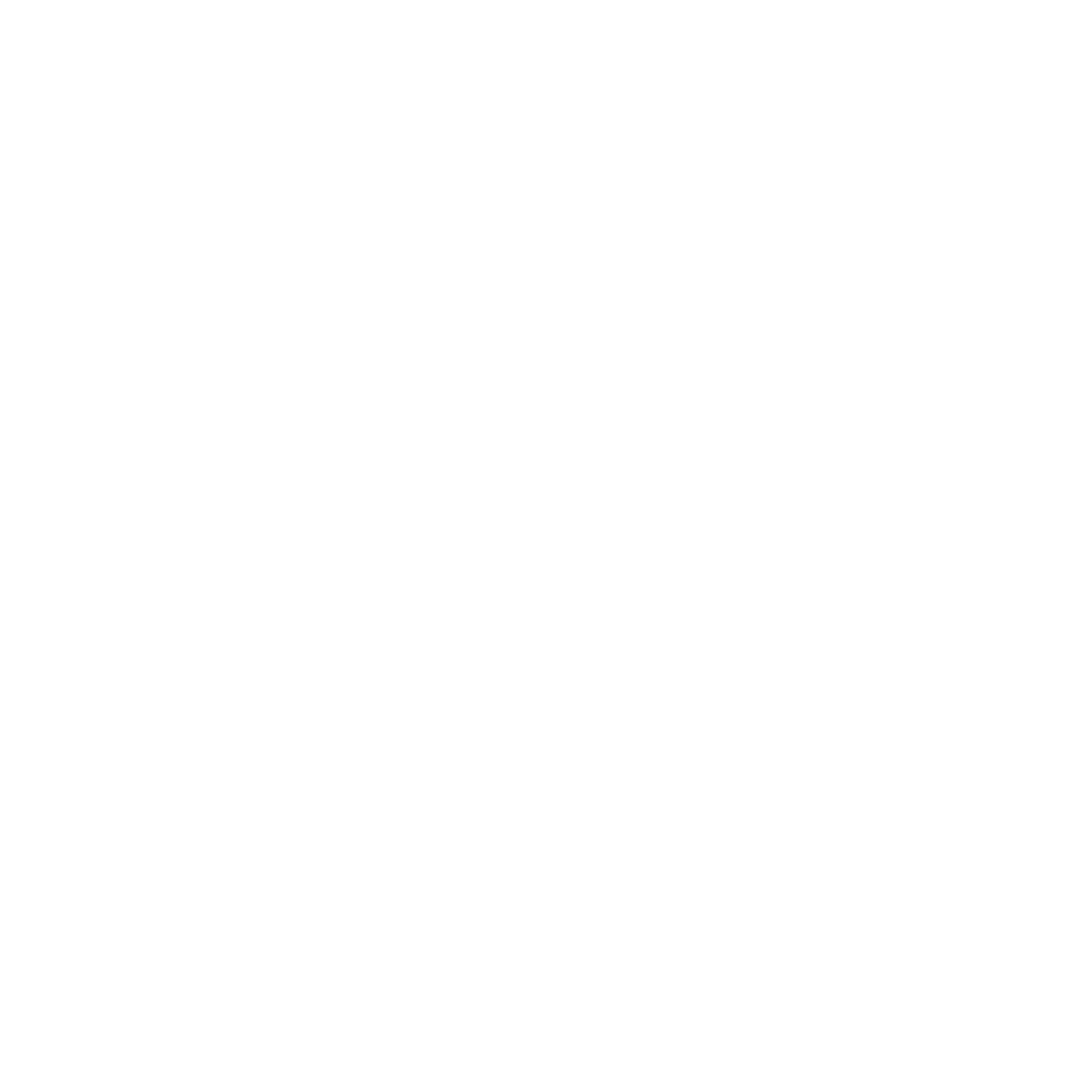 Logo:Steyn Skyler